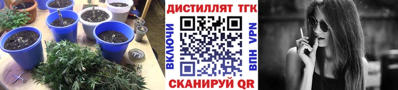 Дистиллят ТГК концентрат  Уварово 